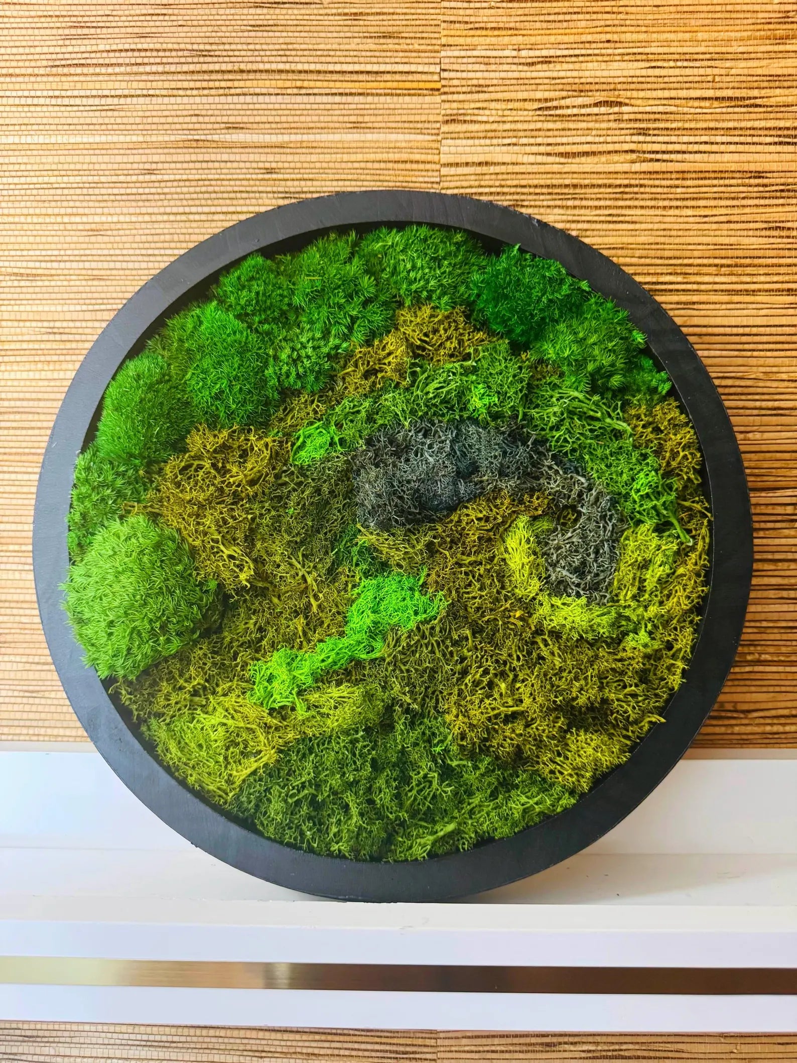 Round Moss Wall Art – Black Frame Preserved Moss Decor, Modern Botanical Nature Artwork for Home or Office