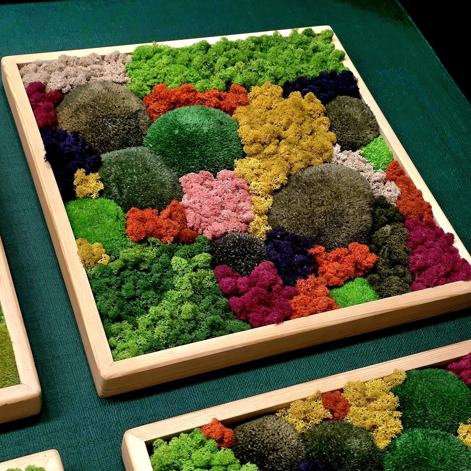 Modular Norwegian Moss Panel – Natural Wall Art in Wooden Frame | Eco-Friendly 50×50 cm Decor