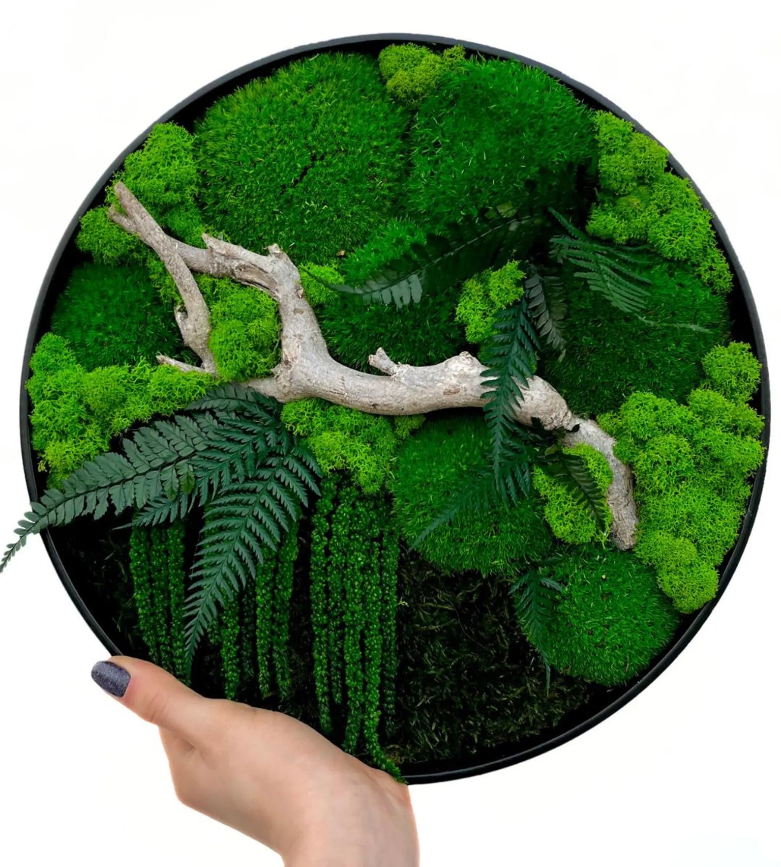 Preserved Moss Wall Art – Handmade Rustic Greenery Wall Decor, Eco-Friendly Moss Frame for Home & Office (30cm or 40cm)