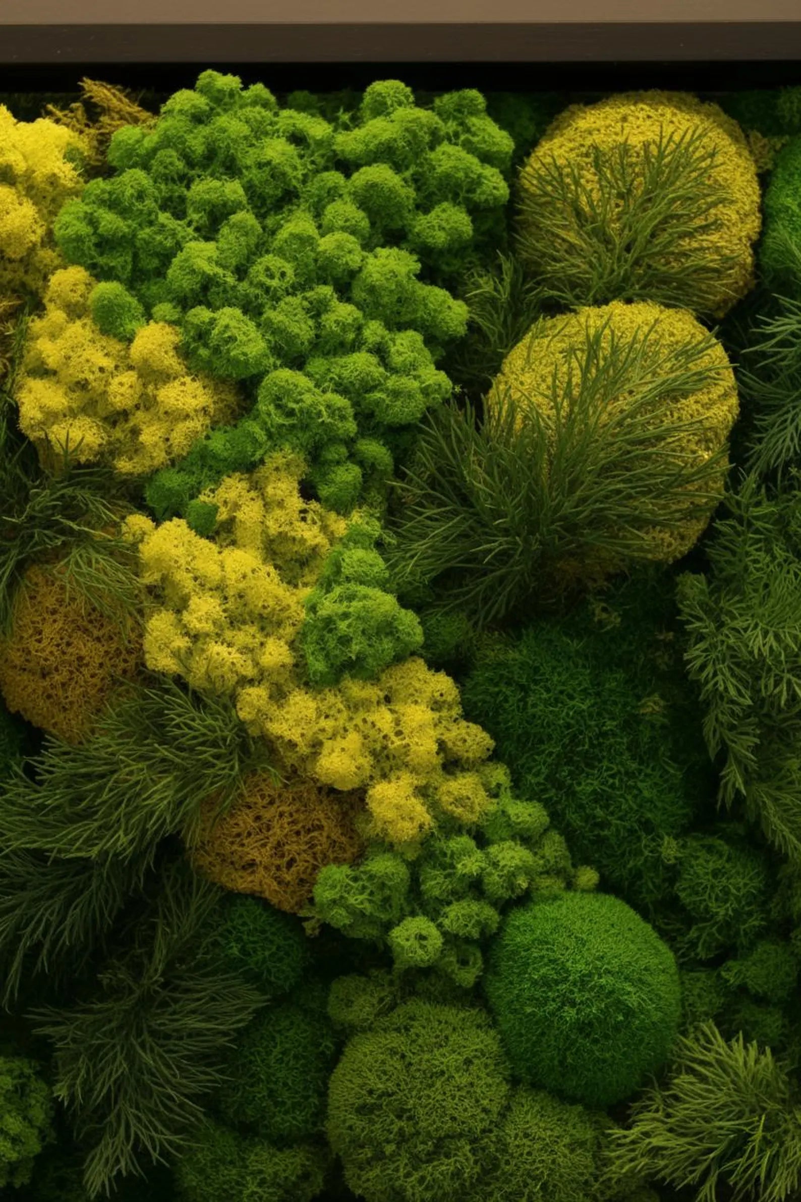 Green Preserved Moss Wall Art with LED – Unique Handmade Wall Decor