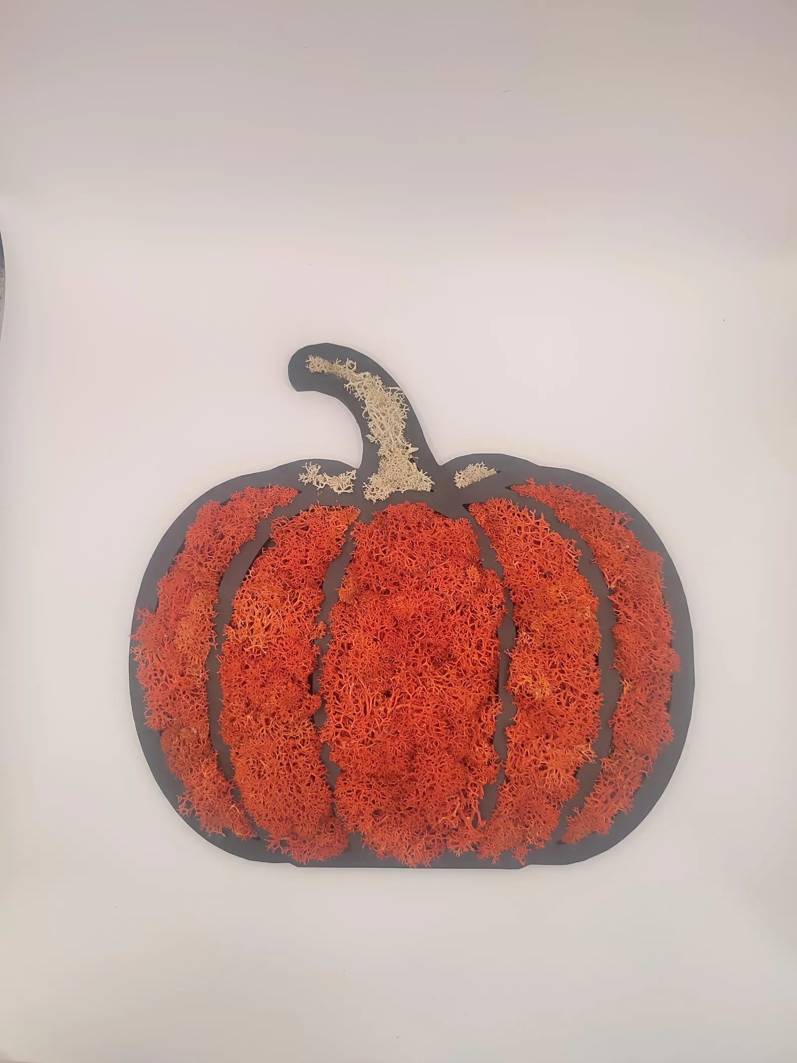 Pumpkin Moss Wall Art – Halloween Door Hanger with Preserved Reindeer Moss, Fall Home Decor