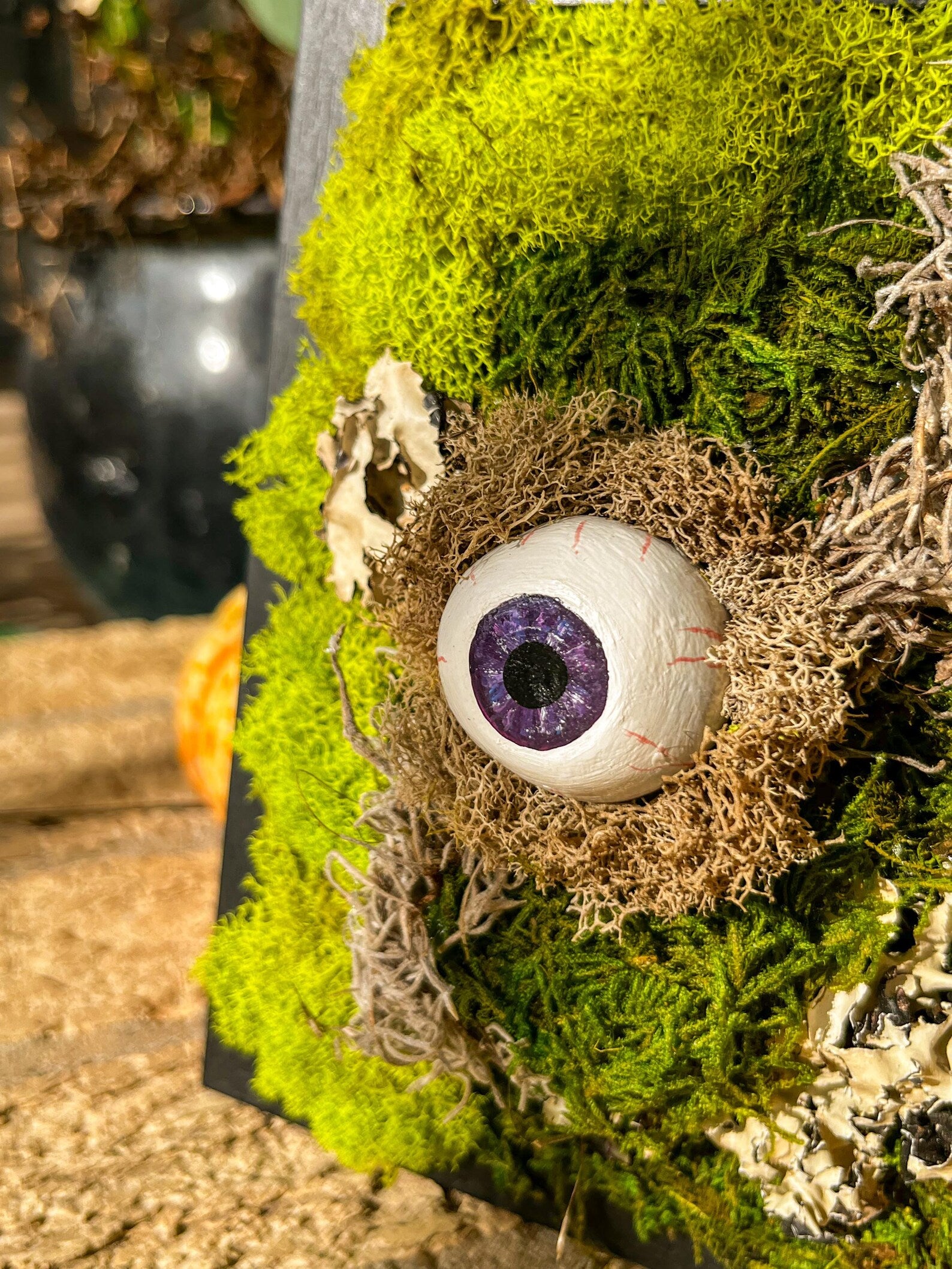 Moss Eyeball Wall Art – Gothic Nature Decor | Witchy Oddities | Halloween Wall Hanging | Curiosity Cabinet Accent