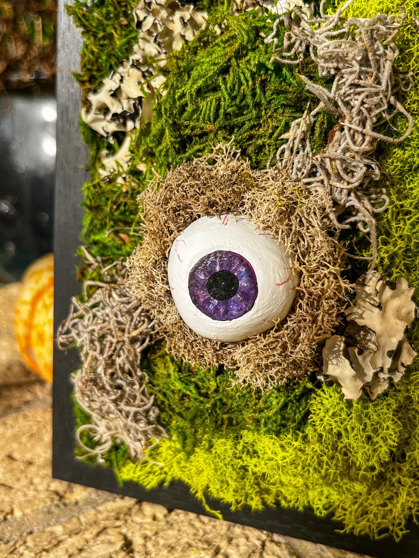 Moss Eyeball Wall Art – Gothic Nature Decor | Witchy Oddities | Halloween Wall Hanging | Curiosity Cabinet Accent