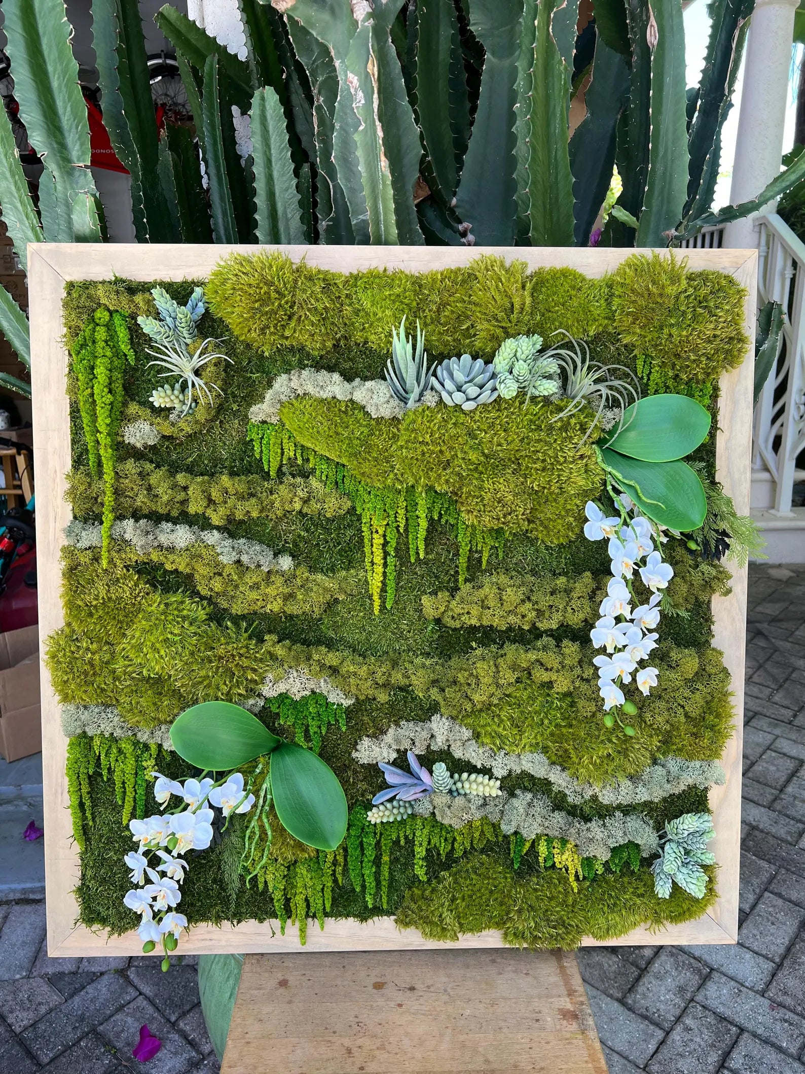 Moss Wall Art – Handmade Preserved Green Moss Frame | Unique Home & Office Decor