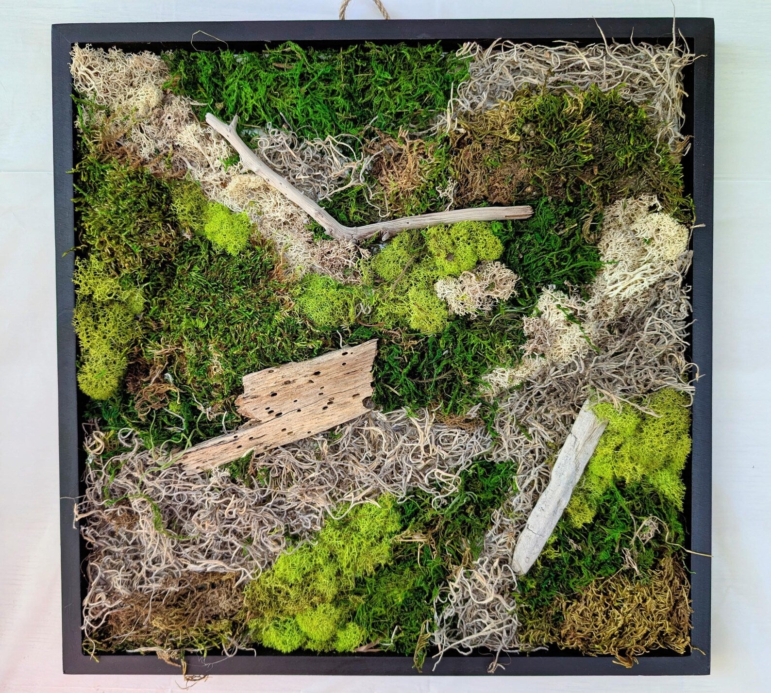 Preserved Moss Wall Art – Handmade Green Decor in Black Square Frame