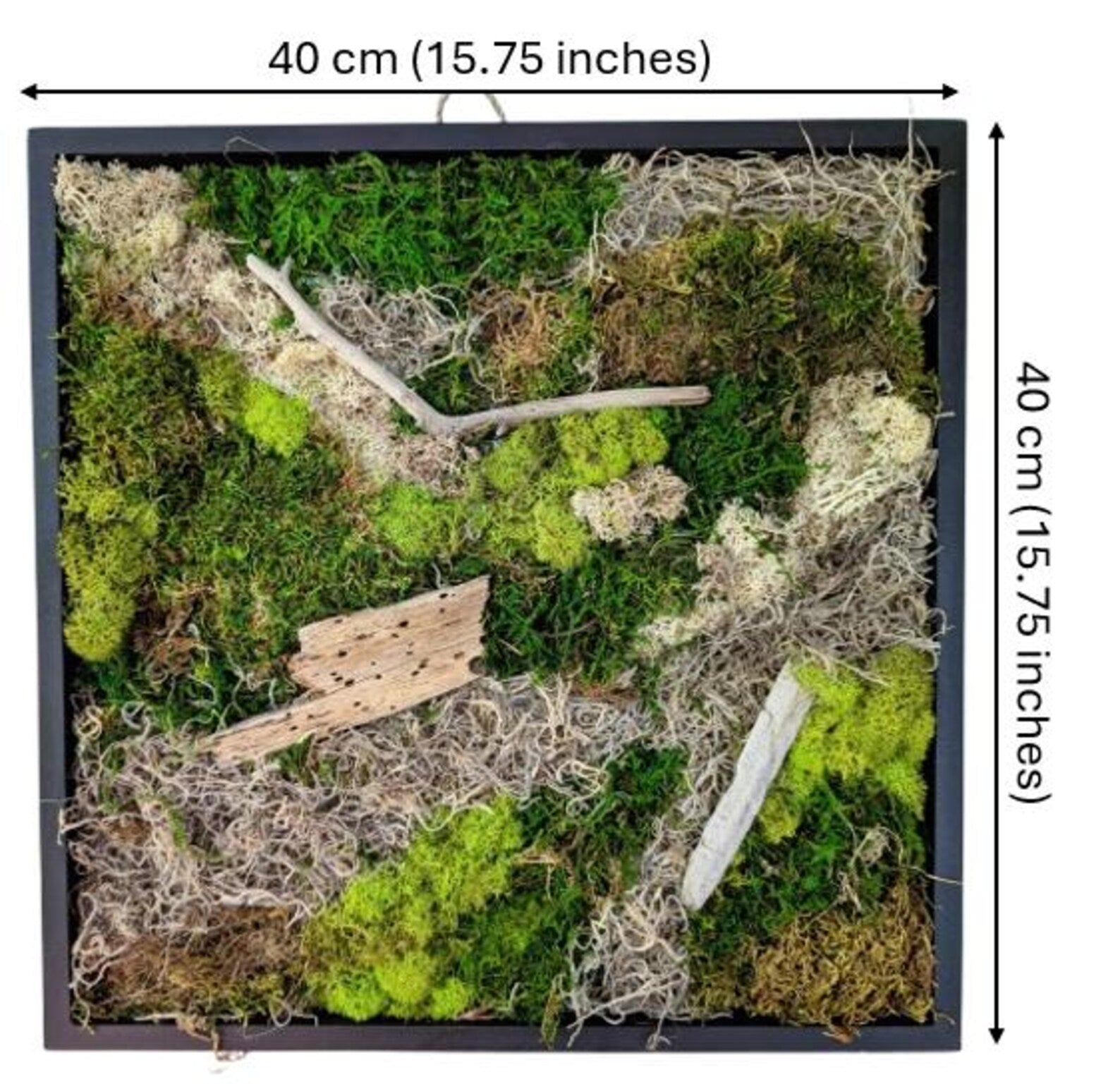 Preserved Moss Wall Art – Handmade Green Decor in Black Square Frame