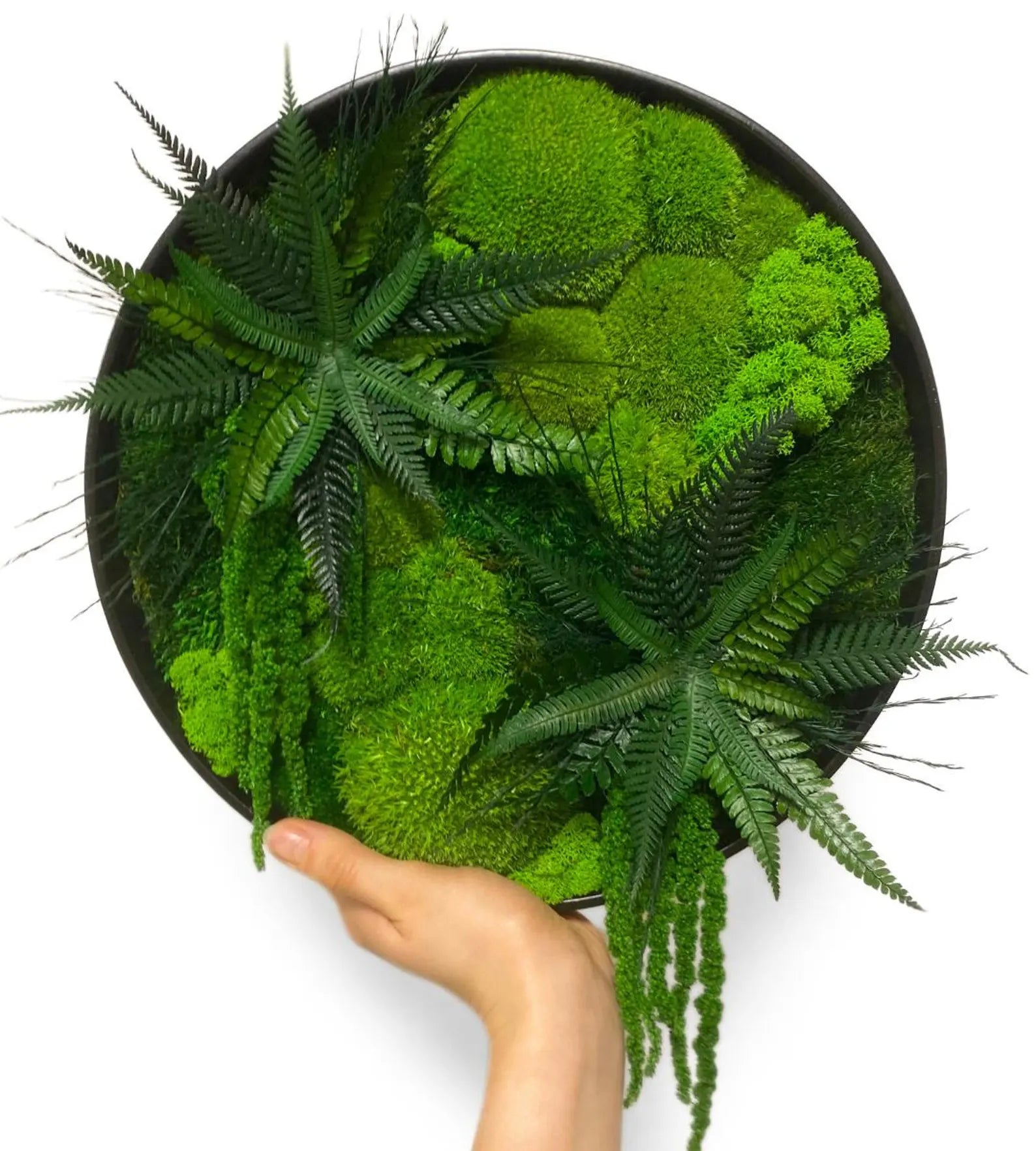 Preserved Moss Wall Art – Handmade Rustic Greenery Wall Decor, Eco-Friendly Moss Frame for Home & Office (30cm or 40cm)