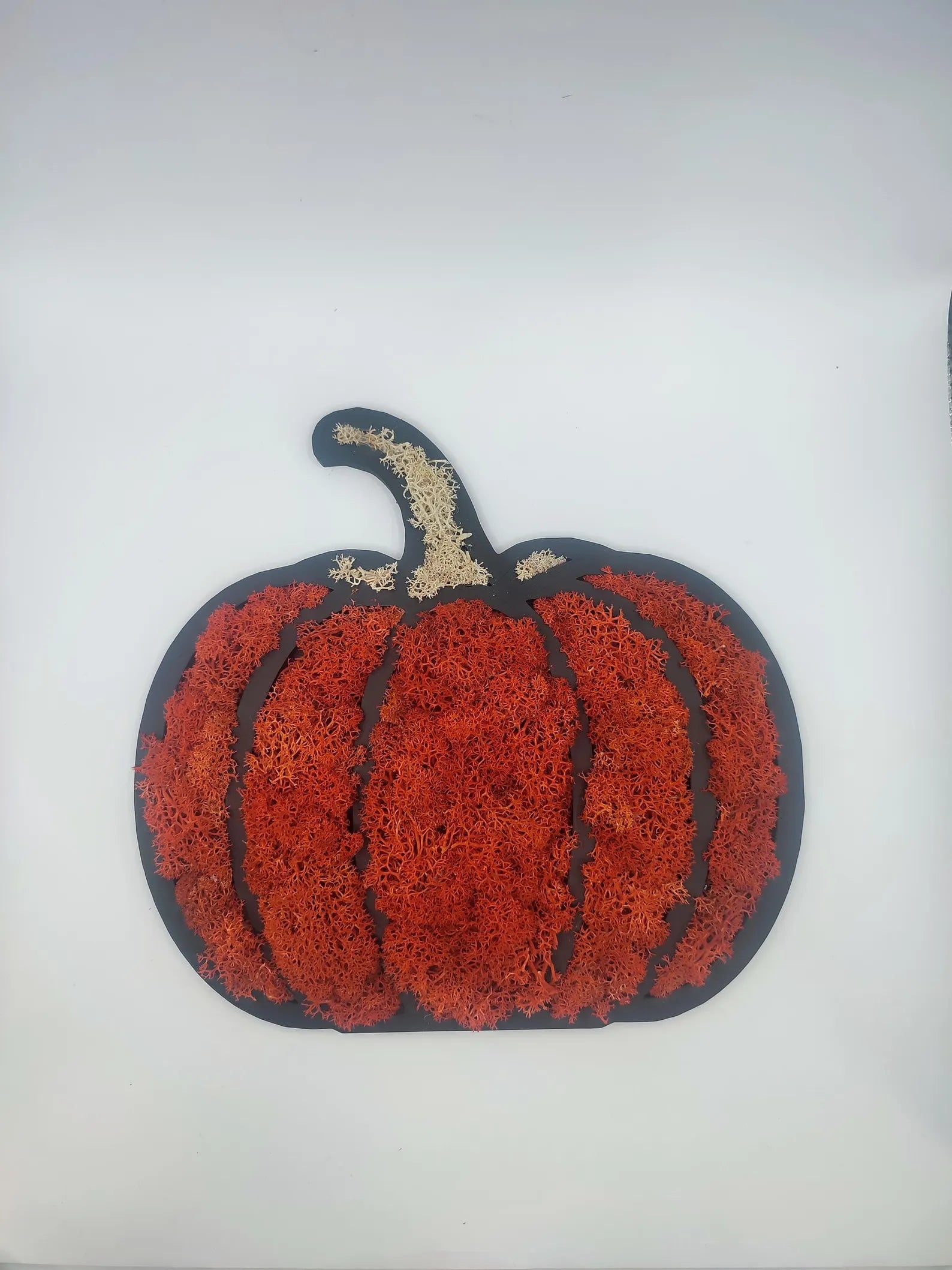 Pumpkin Moss Wall Art – Halloween Door Hanger with Preserved Reindeer Moss, Fall Home Decor