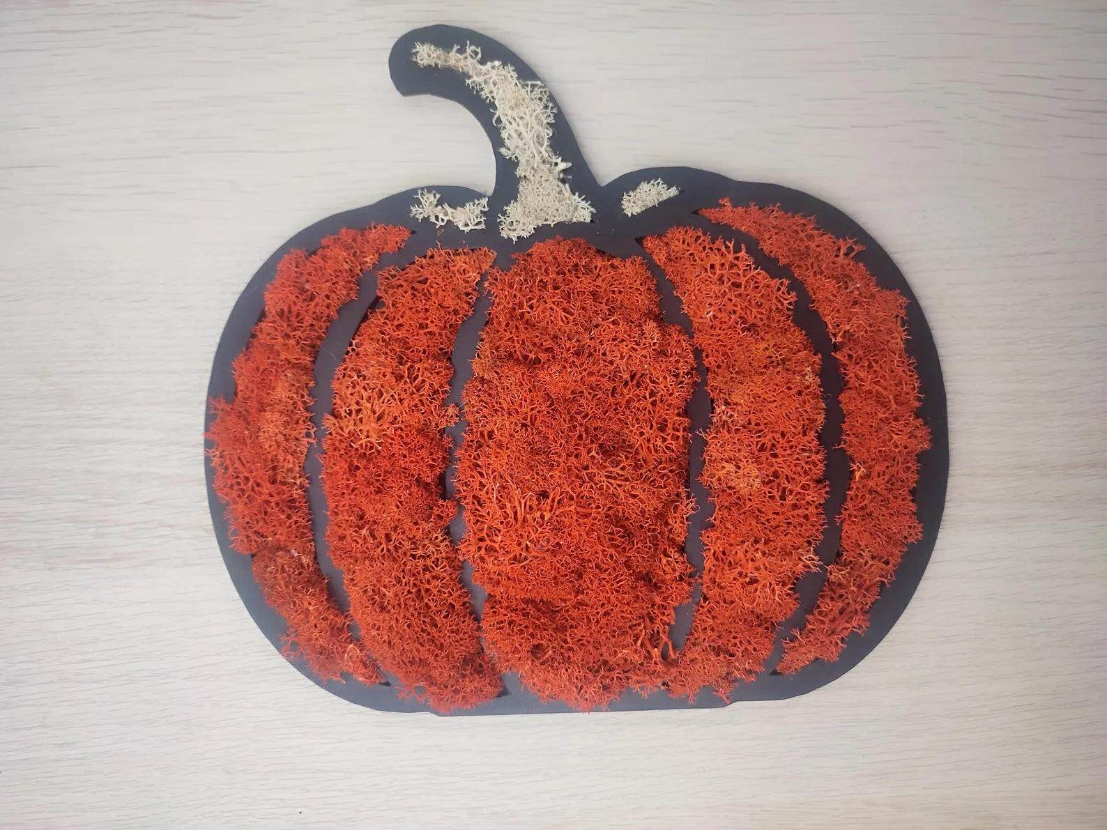 Pumpkin Moss Wall Art – Halloween Door Hanger with Preserved Reindeer Moss, Fall Home Decor