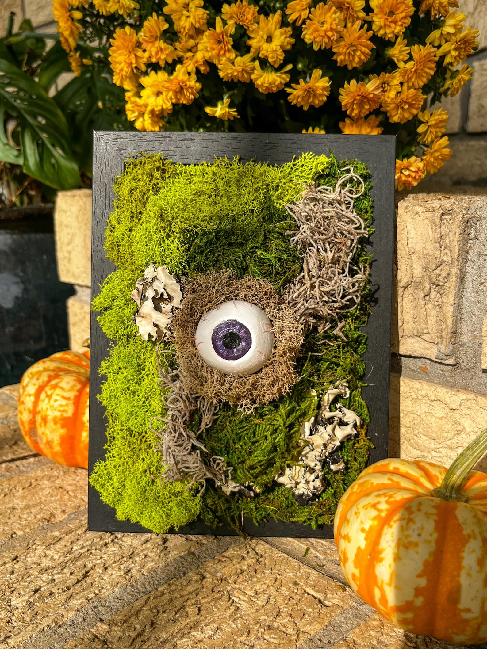 Moss Eyeball Wall Art – Gothic Nature Decor | Witchy Oddities | Halloween Wall Hanging | Curiosity Cabinet Accent