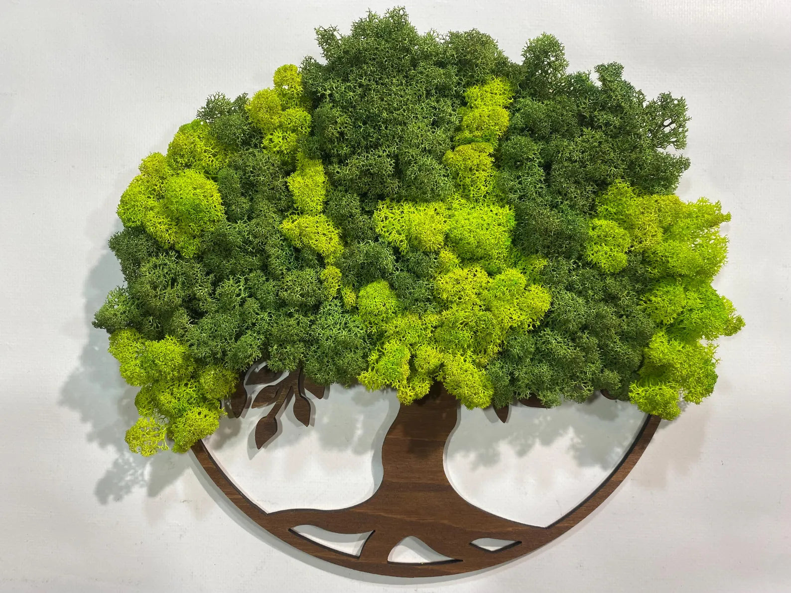 Boho Tree of Life Moss Frame – Eco-Friendly Wall Decoration