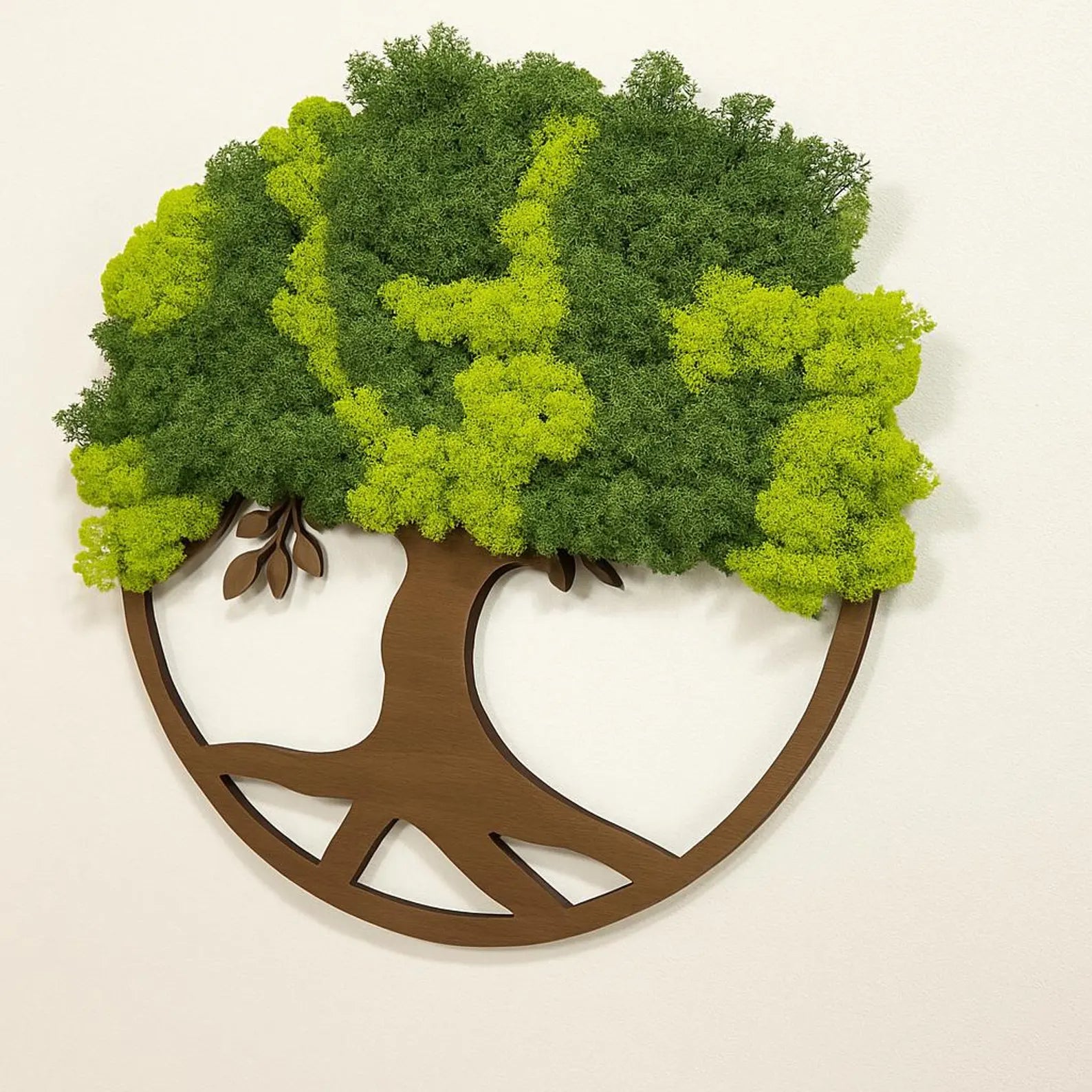 Boho Tree of Life Moss Frame – Eco-Friendly Wall Decoration