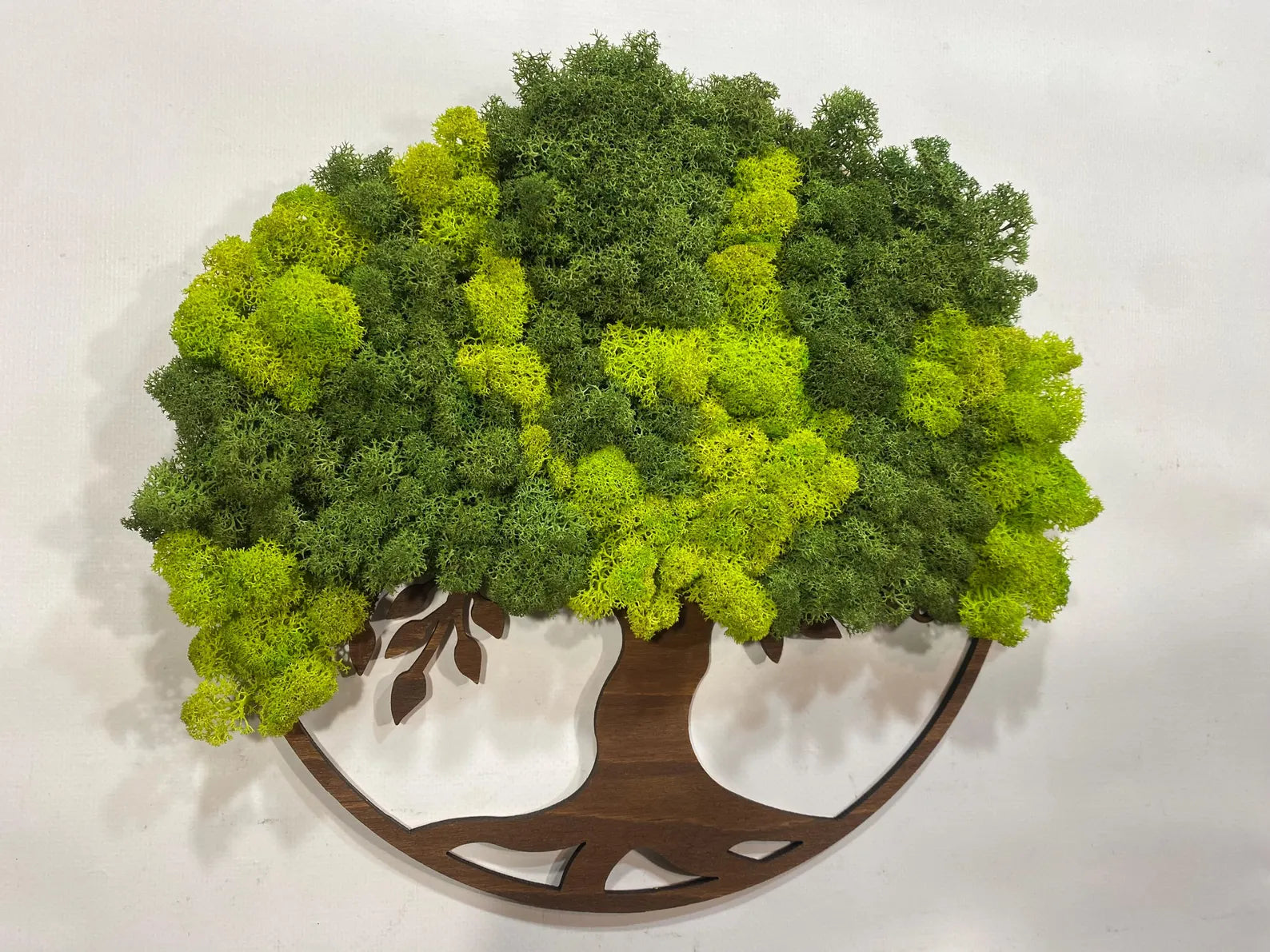 Boho Tree of Life Moss Frame – Eco-Friendly Wall Decoration