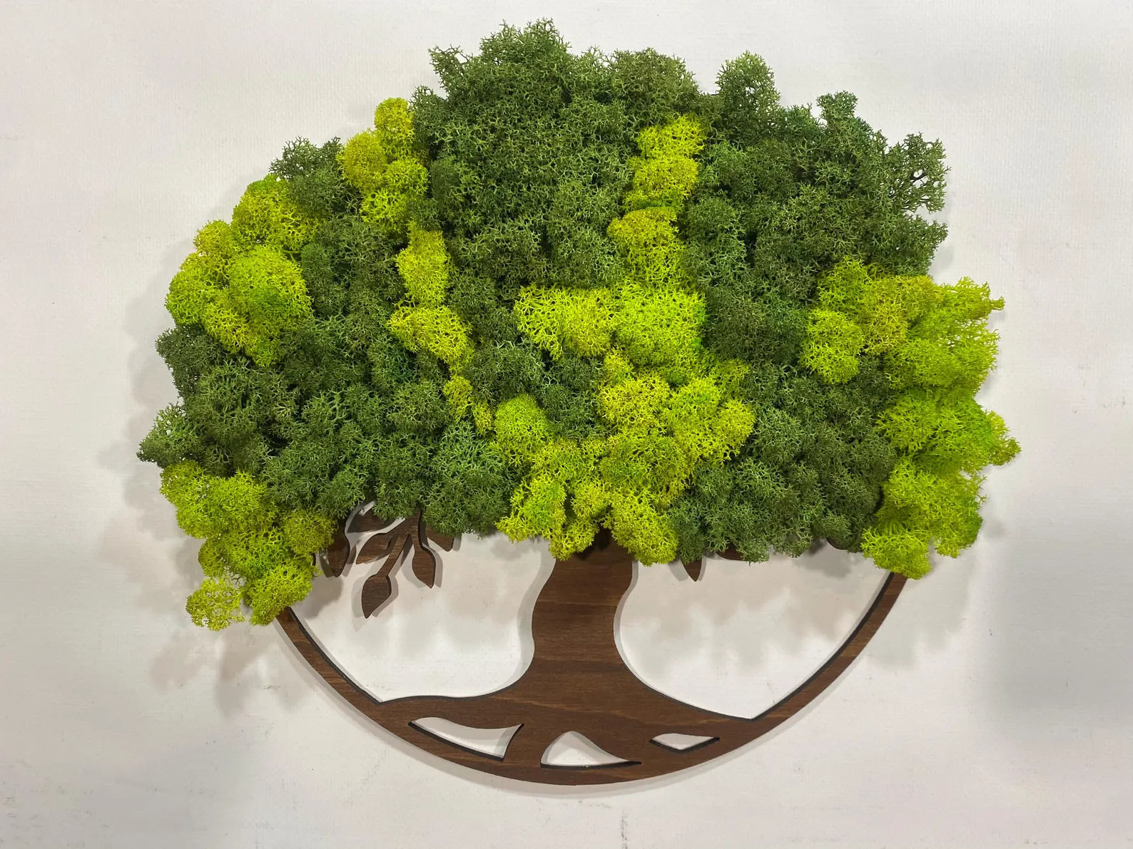 Boho Tree of Life Moss Frame – Eco-Friendly Wall Decoration