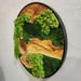 Moss and Olive Wood Wall Art with Metal Frame – Preserved Moss Wall Decor for Home or Office