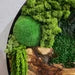 Moss and Olive Wood Wall Art with Metal Frame – Preserved Moss Wall Decor for Home or Office