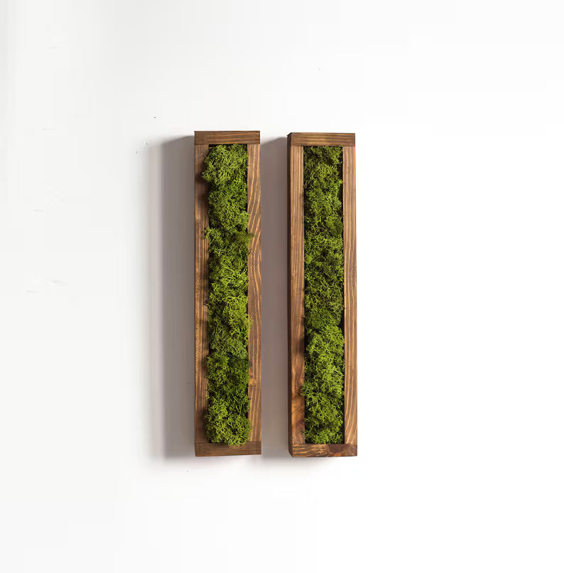 Rectangular Moss Wall Art – Preserved Greenery Frame