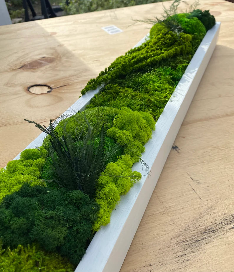 Preserved Moss Wall Art – Handmade Moss Panels & Green Centerpiece Decor