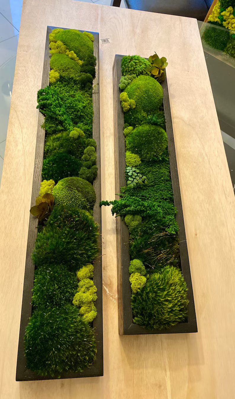 Preserved Moss Wall Art – Handmade Moss Panels & Green Centerpiece Decor