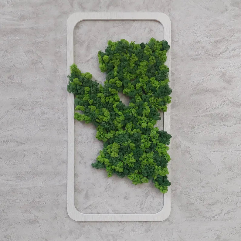 Moss Wall Art – Stabilized Moss Pictures with Wooden Frame | Home & Office Wall Decor