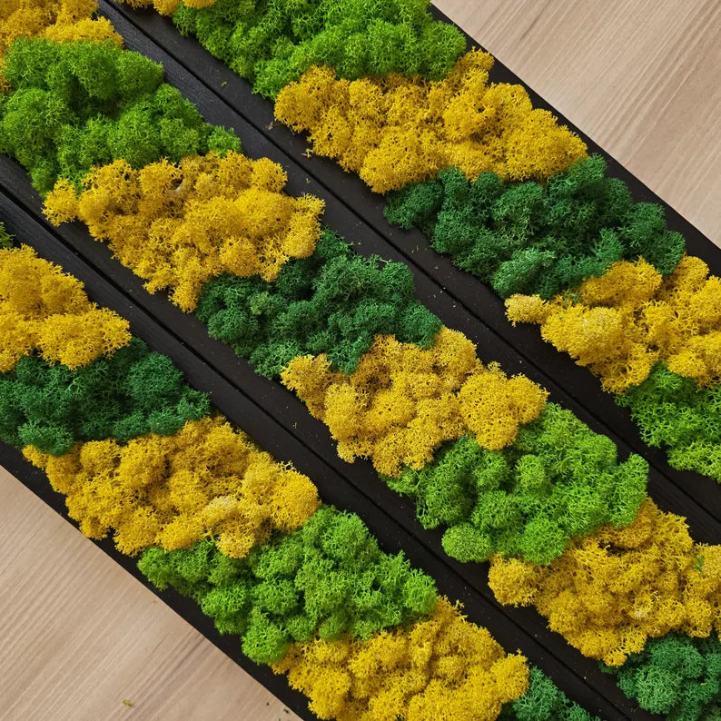 Set of 3 Reindeer Moss Wall Panels – Scandinavian Preserved Moss Art | Green-Yellow Biophilic Decor