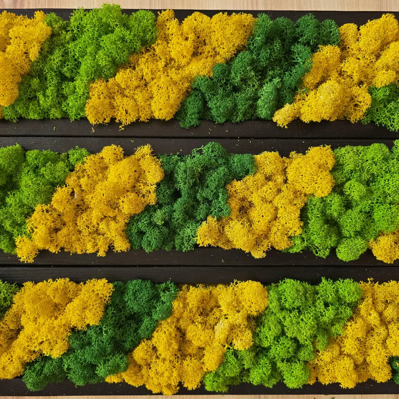 Set of 3 Reindeer Moss Wall Panels – Scandinavian Preserved Moss Art | Green-Yellow Biophilic Decor