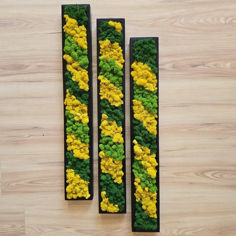 Set of 3 Reindeer Moss Wall Panels – Scandinavian Preserved Moss Art | Green-Yellow Biophilic Decor