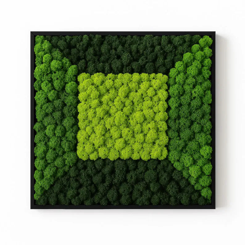 Preserved Moss Wall Art 24x24 – Eco-Friendly Green Plant Decor in Black Frame