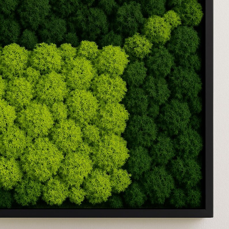 Preserved Moss Wall Art 24x24 – Eco-Friendly Green Plant Decor in Black Frame