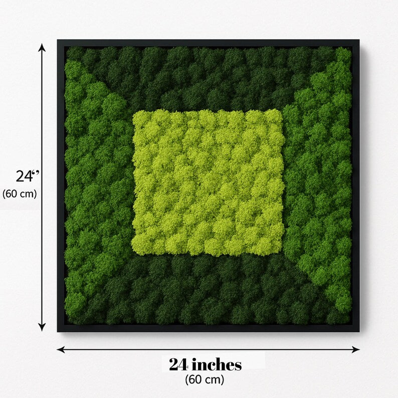 Preserved Moss Wall Art 24x24 – Eco-Friendly Green Plant Decor in Black Frame